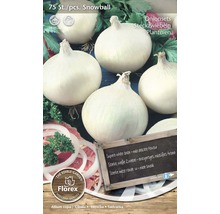 Snowball Zwiebelset Packung mit 75 Stück