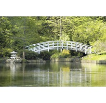 Landschaft mit Teich, Brücke und Steinlaterne