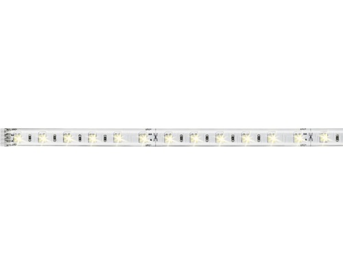 MaxLED 500 Strip 1 m 550 lm 3000- 6500 K Tunable White 60 LED´s beschichtet Erweiterung zu Basisset 24V, Smart Home-fähig nach Erweiterung LED-Streifen mit Anschlussmarkierungen
