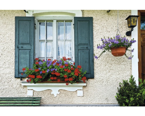 Fototapete Vlies 18336 Bavarian Window 7-tlg. 350 x 260 cm