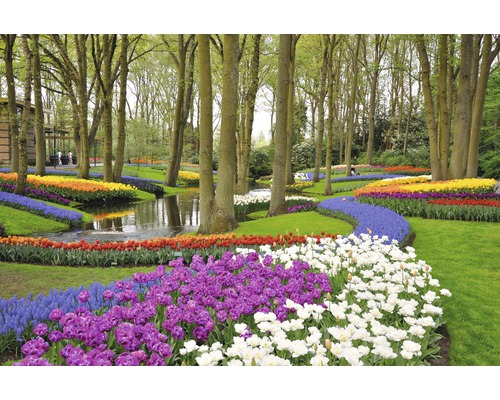 Fototapete Vlies 18337 Tulips in Keukenhof Park 7-tlg. 350 x 260 cm