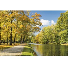 Parklandschaft im Herbst mit Bäumen und einem Fluss