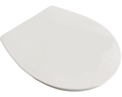 Toilettendeckel aus Kunststoff