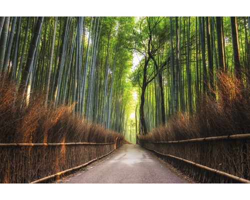 Fototapete Vlies 18382 Bamboo Grove of Kyoto 7-tlg. 350 x 260 cm