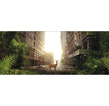 Glasbild Secret World 50x125 cm GLA980