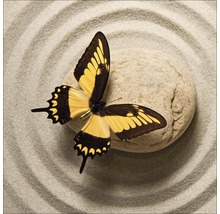 Schmetterling auf einem Stein im Sandgarten