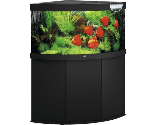Eckaquarium mit Unterschrank, inklusive Fische und Pflanzen