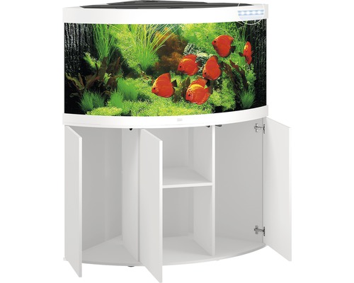 Komplettes Aquarium mit Fischen und Unterschrank