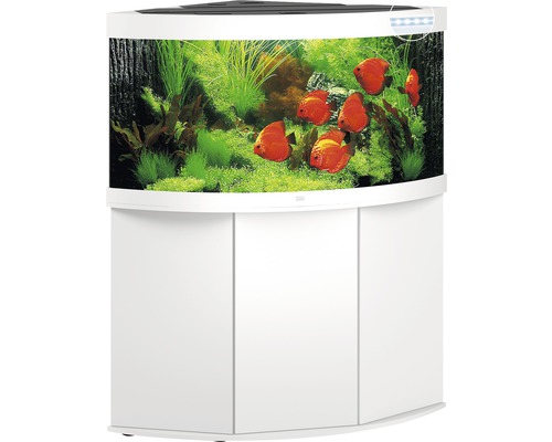 Komplettes Aquarium mit Fischen und Schrank