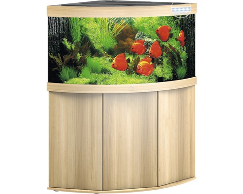 Eckaquarium mit Unterschrank, bepflanzt und mit Fischen