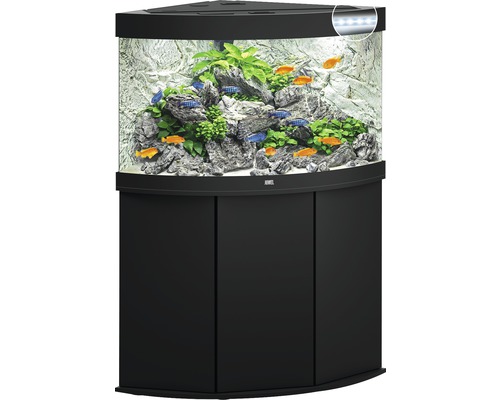 Eckaquarium mit Unterschrank, befüllt mit Fischen, Pflanzen und Steinen