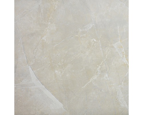 Feinsteinzeug Wand- und Bodenfliese Ivory 60 x 60 cm