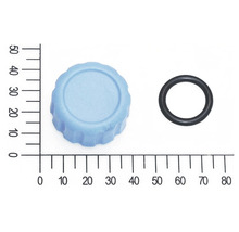 Ablasschraube klein mit O-Ring für FQ-GP 4.000 Gartenpumpe (5813016)