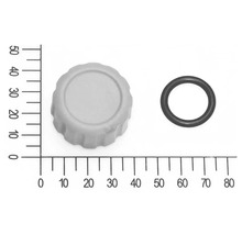 Ablasschraube klein mit O-Ring für FQ-GP 4.000 Gartenpumpe (5813016)