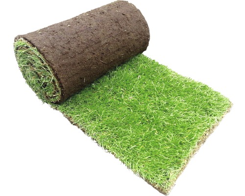 Rolle Rollrasen für den Garten