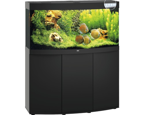 Schwarzes Aquarium mit Fischen, Pflanzen und Unterschrank