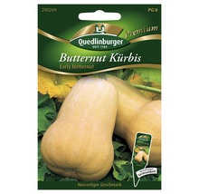 Butternut Kürbis Samenpackung