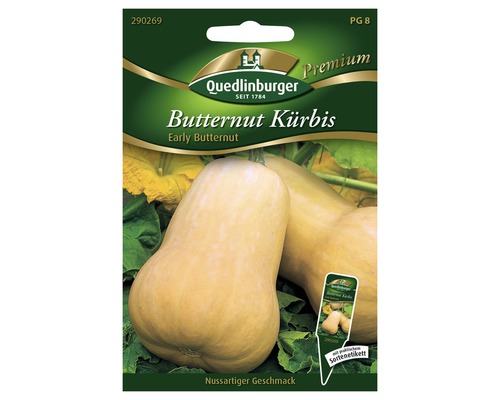 Kürbis 'Early Butternut' Quedlinburger Gemüsesamen