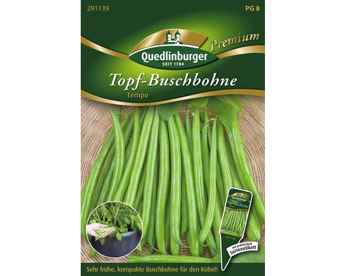 Buschbohne 'Tempo' Quedlinburger Gemüsesamen frühe Sorte, samenfestes Saatgut Gemüsesamen