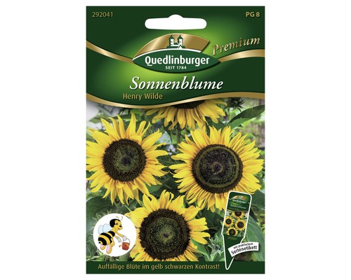 Sonnenblume 'Henry Wilde' Quedlinburger Blumensamen