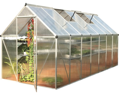 Gewächshaus mit geöffneter Tür und Pflanzenregalen