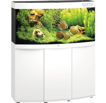 Komplettes Aquarium mit Unterschrank und Inneneinrichtung