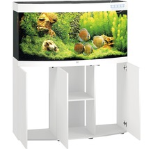 Aquarium mit Unterschrank und Dekoration