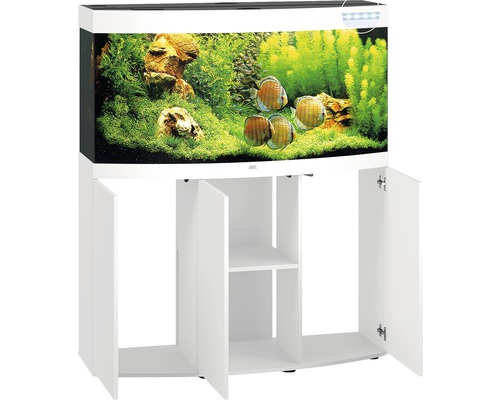 Aquarium mit Unterschrank und Dekoration