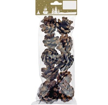 Verpackung mit acht Tannenzapfen zur Dekoration