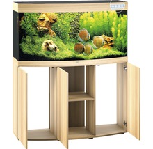 Aquarium mit Unterschrank und Dekoration