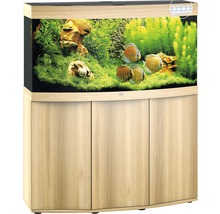 Aquarium mit Unterschrank und Dekoration