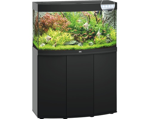 botanical☆ 植物の時間をまとうLONG ISLAND MOTHER OF PEARL DIAMOND – FRANCK MULLER