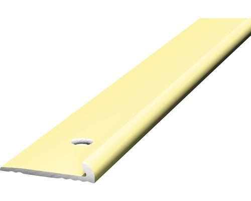 Prinz Abschlussprofil Alu sahara gelocht 18 x 3,5 x 2500 mm Bodenprofil aus Kunststoff mit Bohrlöchern