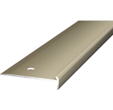Treppenkantenprofil Alu Edelstahl matt gelocht 45 x 10 x 2500 mm-thumb-0