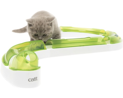 Graue Katze spielt mit Katzenspielzeug