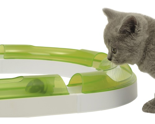 Eine Katze spielt mit einem Katzenspielzeug mit Ball