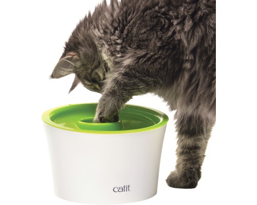 Katze trinkt aus einem Catit Trinkbrunnen