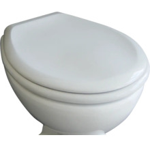 Toilette aus Keramik mit Toilettendeckel