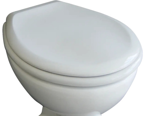 Toilette aus Keramik mit Toilettendeckel