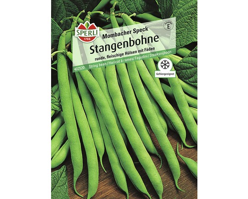 Stangenbohne 'Mombacher Speck' Sperli Gemüsesamen