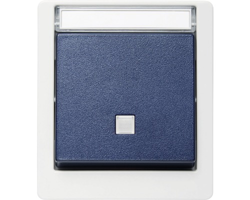 ROTH LANGE 56821 Feuchtraum Taster Aufputz IP55 mit Beleuchtung und Beschriftungsfeld grau/blau Blauer Taster mit Beschriftungsfeld