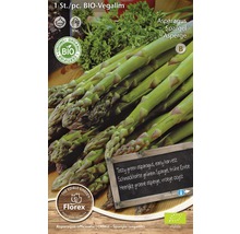BIO Spargel-Rhizom 'Vegalim' 1 Stk.