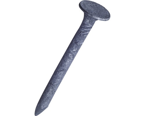 Dachpappstifte 2,8 x 16 mm Feuerverzinkt 1 KG Ein einzelner Stahlnagel mit Kopf.