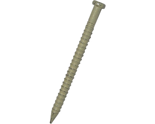 Paneelstifte (Colorstifte) 1,6 x 32 mm beige, 250 Stück Ein einzelner Schraubnagel.