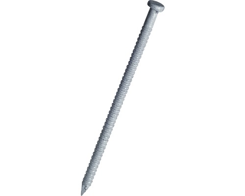 Paneelstifte (Colorstifte) 1,6 x 32 mm weiß, 250 Stück Ein einzelner verzinkter Nagel mit gerändeltem Schaft