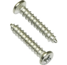 Zwei Metallschrauben mit Linsenkopf