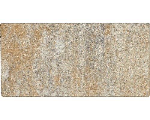 Rechteckiger Pflasterstein