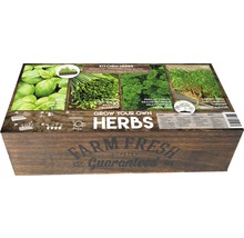 Grow-Box XL *Farm Fresh Kräuter' Anzuchtkiste inkl. Kräuter Saatgut und Anzuchterde 39,5x19,5x12 cm-thumb-0