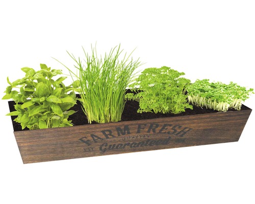 Kräutergarten mit Basilikum, Schnittlauch, Petersilie und Kresse im Holzgefäß