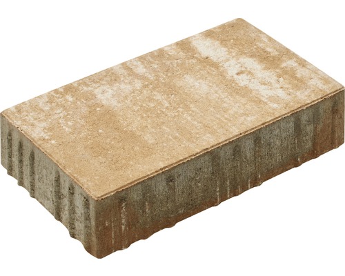 Einzelner Pflasterstein